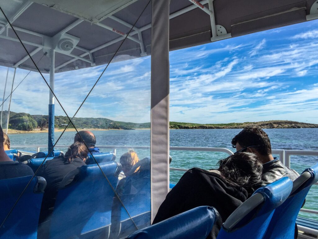 Travel Companionship